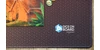 Picture 5/5 -Shoot_the_meeple_4